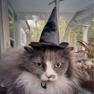 Meet your Posher, Cris